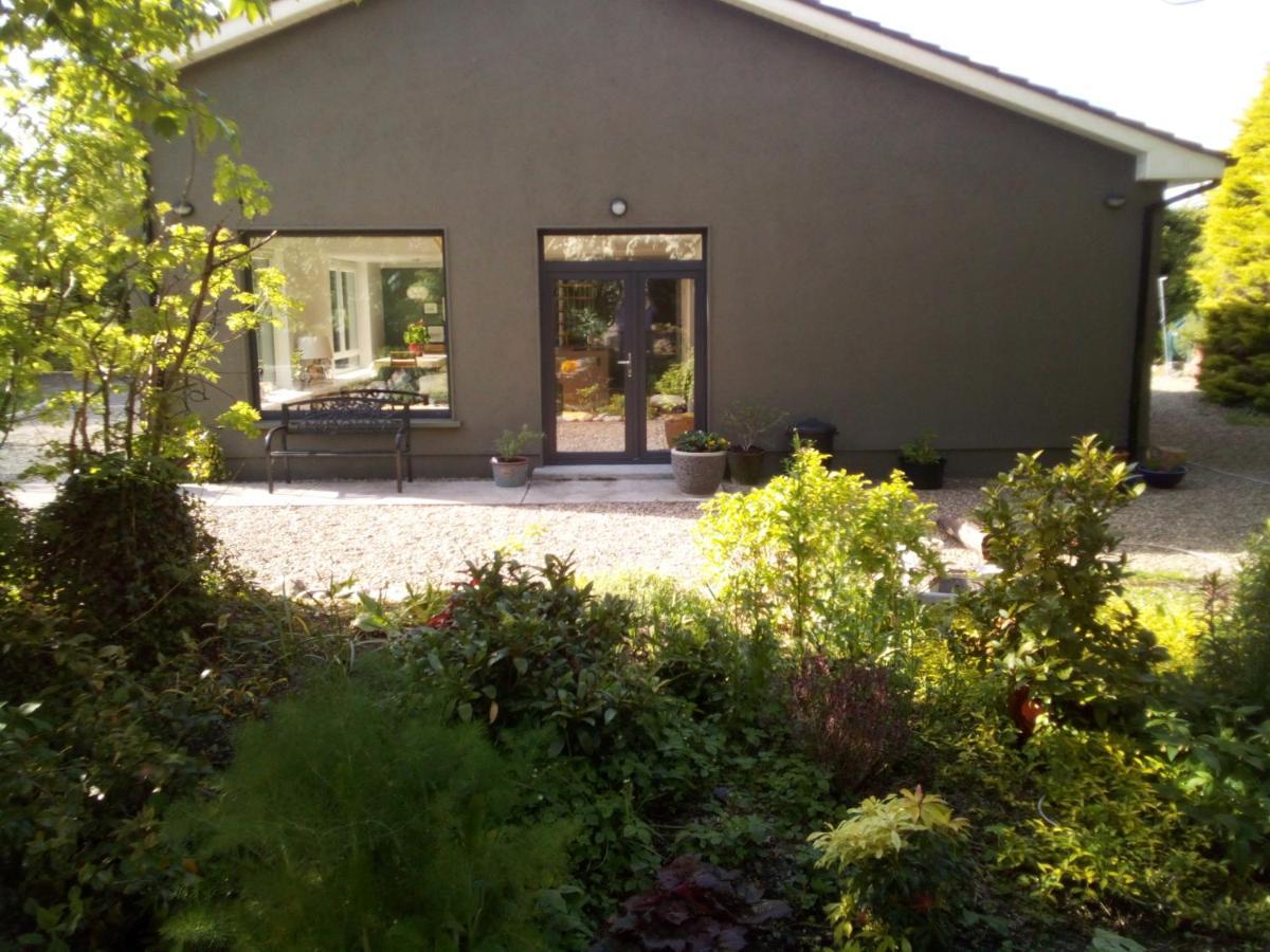 Spacious Contemporary Chalet Type Apartment. Galway Exterior photo