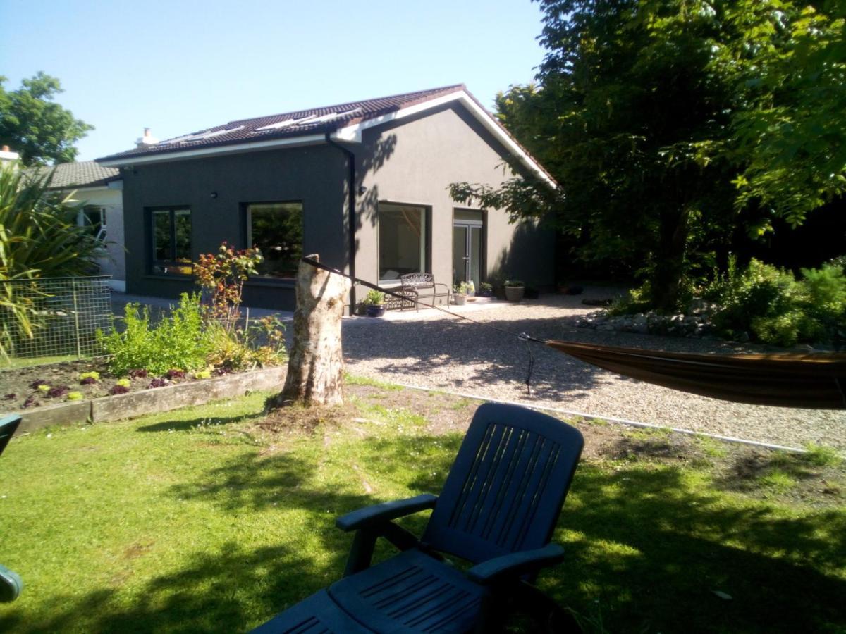 Spacious Contemporary Chalet Type Apartment. Galway Exterior photo