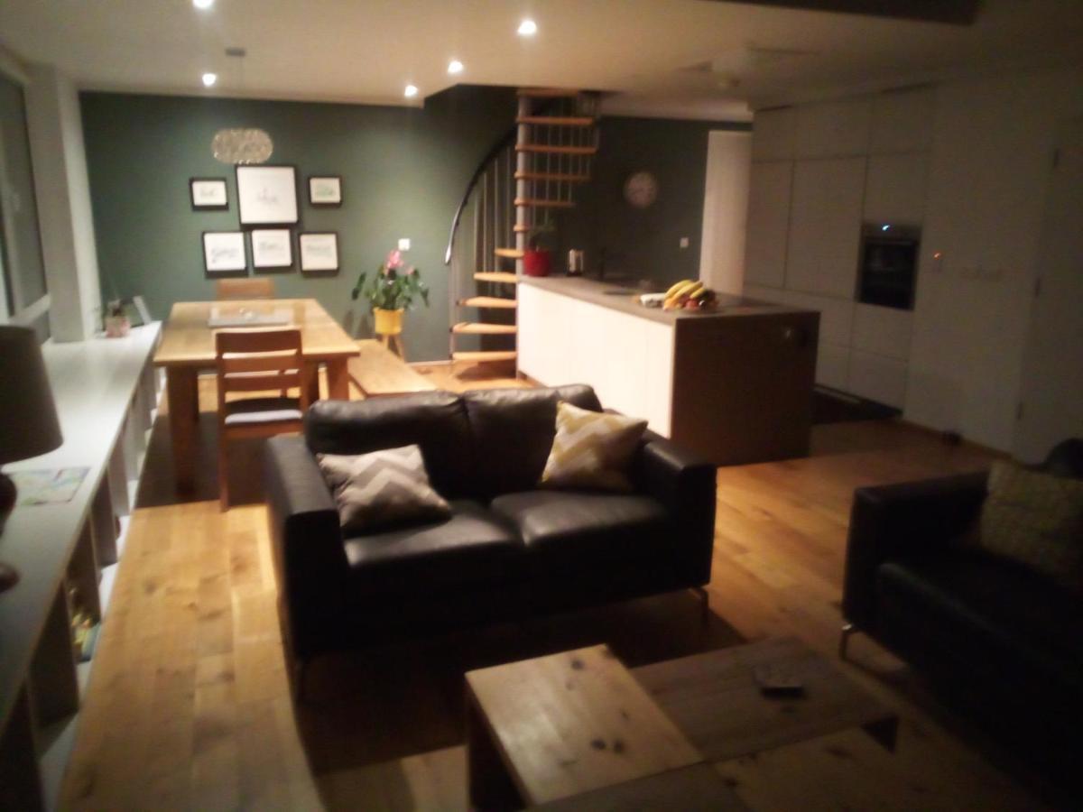 Spacious Contemporary Chalet Type Apartment. Galway Exterior photo