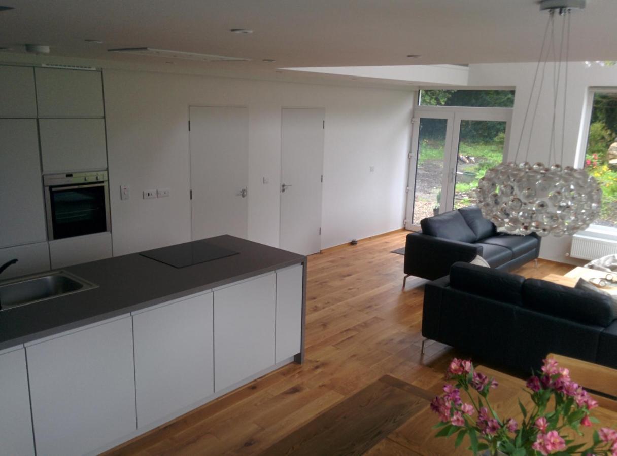 Spacious Contemporary Chalet Type Apartment. Galway Exterior photo