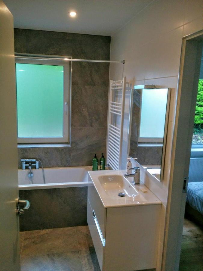 Spacious Contemporary Chalet Type Apartment. Galway Exterior photo